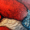 Sassy Blue Jay & Autumn Leaves – Bold Bird Art on Porcelain Tile