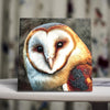 Barn Owl Portrait – Woodland Bird Decor Handcrafted Porcelain Tile Art