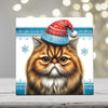 Persian Cat with Red and Blue Holiday Hat – Christmas Art Tile