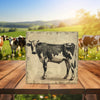 Peeping Tom's Cottage Custom Printed Tile Antique Bovine Elegance Decorative Tile - Historical Home Accent