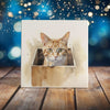 Peeping Tom's Cottage Custom Printed Tile Curious Orange Tabby Cat in a Box Watercolor Art Tile - Whimsical Home Decor for Cat Lovers