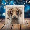 Peeping Tom's Cottage Custom Printed Tile Expressive Wirehaired Dog Watercolor Art Tile - Rustic Canine Decor for Home and Pet Lovers